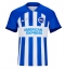 Brighton Thuis tenue 2023-24 Korte Mouwen